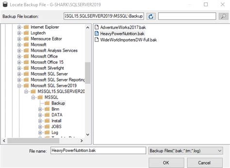 Image result for Open Backup File SQL Server