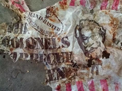 This 40-Year-Old Plastic Bag Found In The Sea Is Proof Why Plastic Is ...