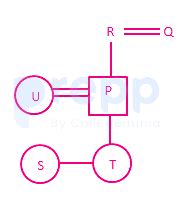 P, Q, R, S, T and U are six members of a family. R