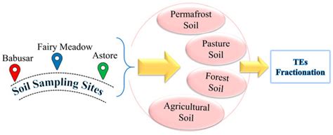 Distribution and Speciation of Trace Elements in Soils of Four Land-Use ...