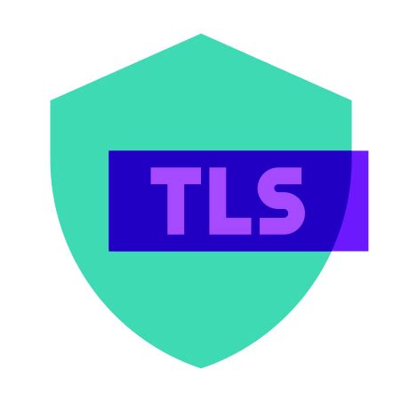 Image result for TLS Connection Icon