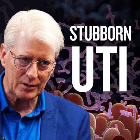 Why do urinary tract infections (UTIs) not go away in some elderly patients? What's the risk ...