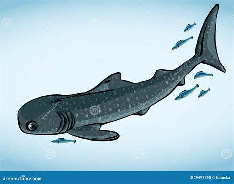 Remora Fish Royalty-Free Stock Photography | CartoonDealer.com #9763391