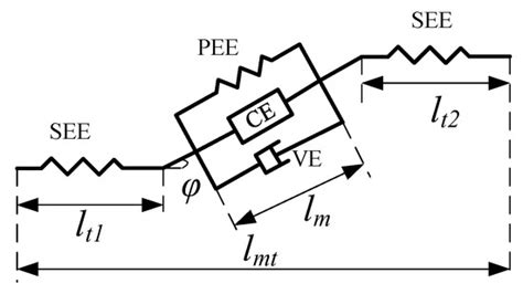 Design and Control of a Nonlinear Series Elastic Cable Actuator Based ...