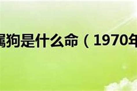 1970年属狗是什么命五行缺什么？70年属狗女一生婚姻感情_生肖_若朴堂文化