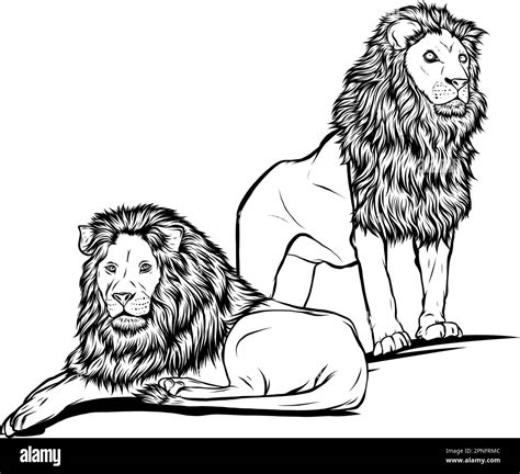 Lion Clipart Black And White