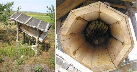 Ульи с улучшенными конструкциями: бибокс, апирусс, комби, кенийские
