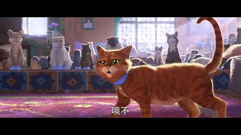 《穿靴子的猫2》曝光剧照 全新配音阵容揭晓_资讯-考拉TV-最全的海外华人影视网站