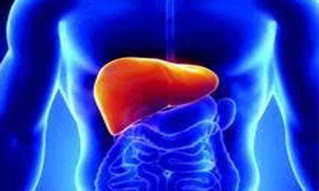 TAMIL SIDDHA AYURVEDA VARMA CLINIC (LEG PAIN/JOIN PAIN/SHOULDER PAIN ...