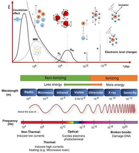 Applications of Non-destructive Technologies for Agricultural and Food ...