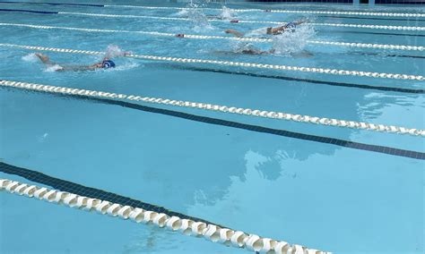 Swim Meet 的图像结果