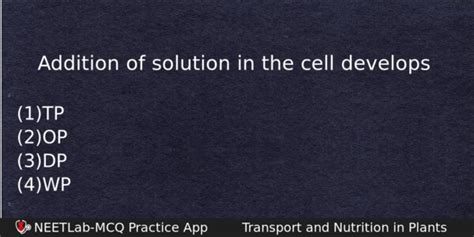 Image result for Solution Add