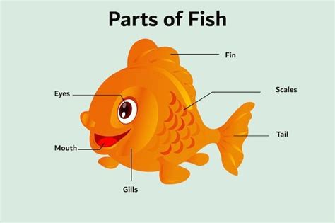 Image result for Java Comment* Line