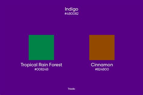 Image result for Indigo Complementary Color