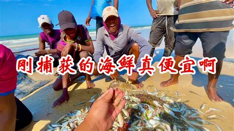 台湾民歌:捕鱼歌 歌谱简谱网