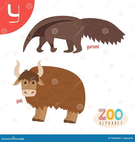 Animals That Start With The Letter Y