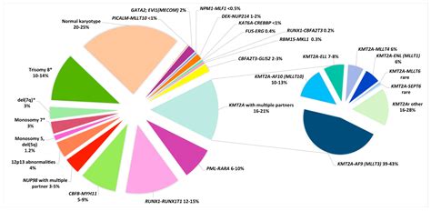 Cytogenetics of Pediatric Acute Myeloid Leukemia: A Review of the ...