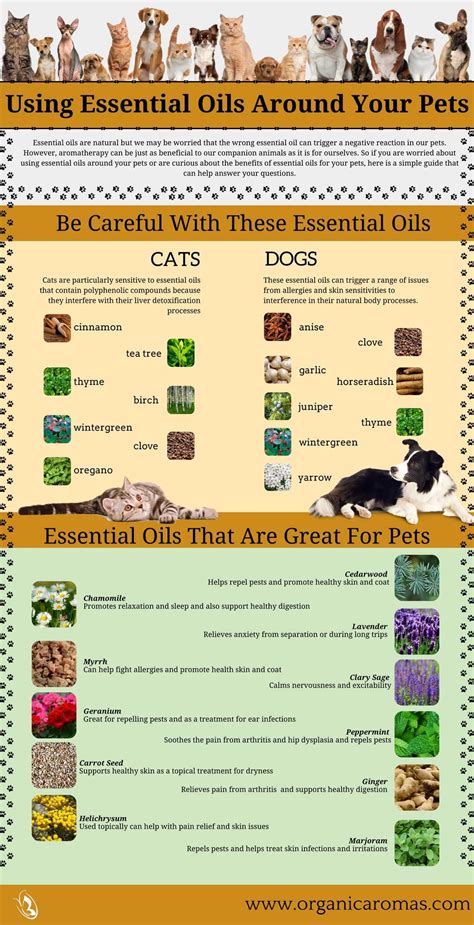A List Of Essential Oils Toxic To Cats And Dogs