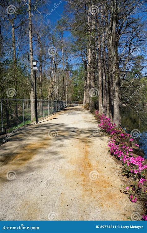 Walking Path at Swan Lake Iris Gardens, Sumter, SC Editorial Photo ...