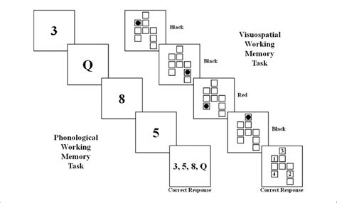 Image result for Visual Spatial Memory Tasks