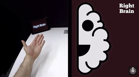 Image result for Split Brain Part One