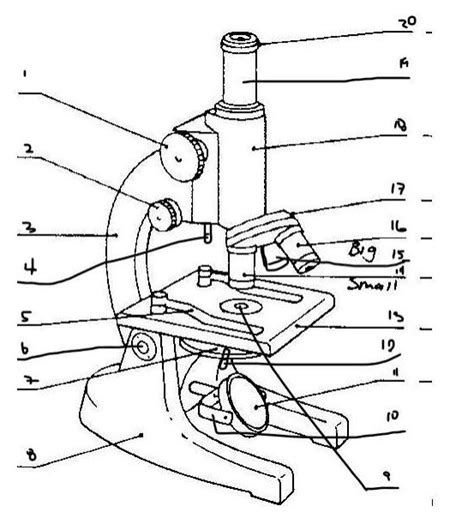 Microscope Label 的图像结果