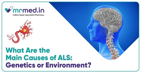 What Causes ALS? Genetic & Environmental Risk Factors Explained