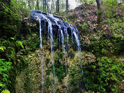Image result for Florida State Waterfall Map