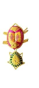 Buy Nutan Creations Sikki Grass Turtle Toy – Eco-Friendly Natural Toy ...