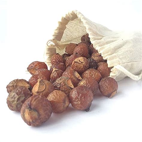 Laxra Organic Raw Reetha Herbal Soap Nuts/Aritha/Sapindus Mukorossi and ...