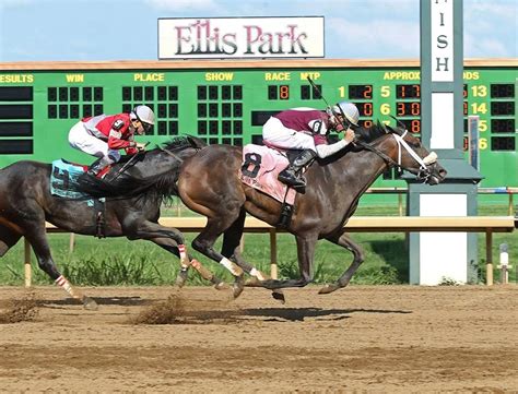 Ellis Park Racing and Gaming, Henderson, KY Jobs | Hospitality Online