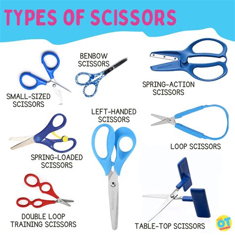 Image result for Scissors Types