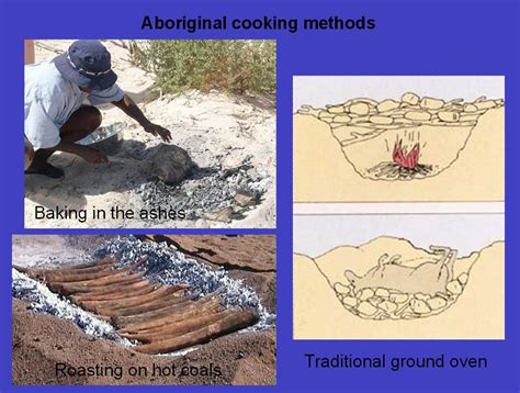 Image result for Australian Indigenous Cooking Methods