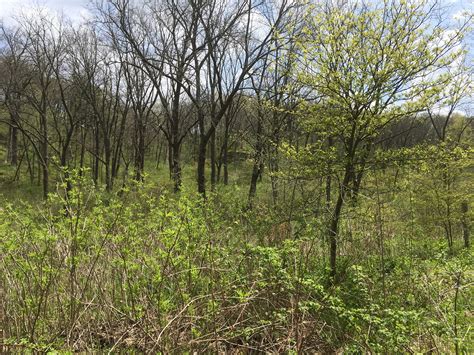 Stewart Lake County Park - Madison Road Trip