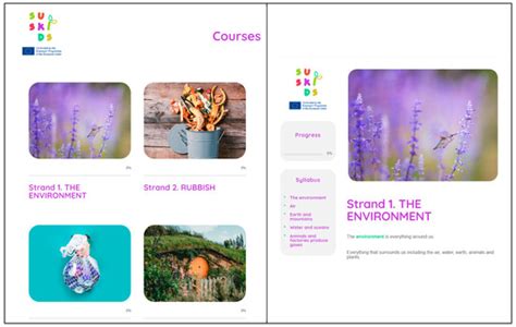 Usability of a Virtual Learning Environment in Down Syndrome Adult Learning