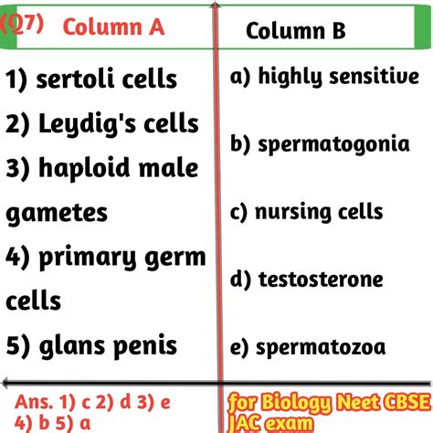 matching question examples in biology for class 12th exams - Biologysir