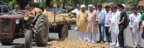 ‘Achhe Din’ Far From Reality for Potato Farmers in India - The Wire