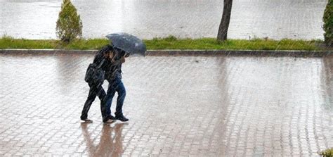 Heavy Rain Sound Effect 的图像结果