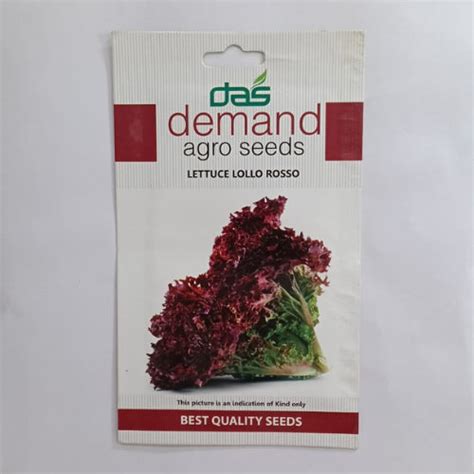 Buy Demand Agro Lettuce Lollo Rosso (1pc)-Rs-99/- Sale Online India ...
