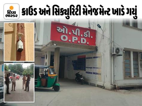 Crowd and security management has gone down the drain | વડોદરાની SSG ...