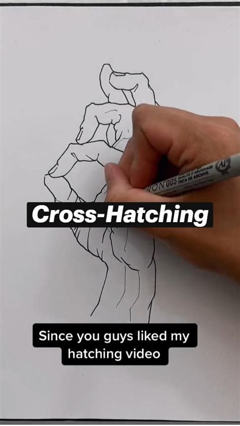 Image result for Example of Hatching Drawing