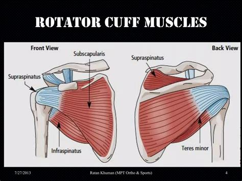 Shoulder impingement syndrome | PPTX