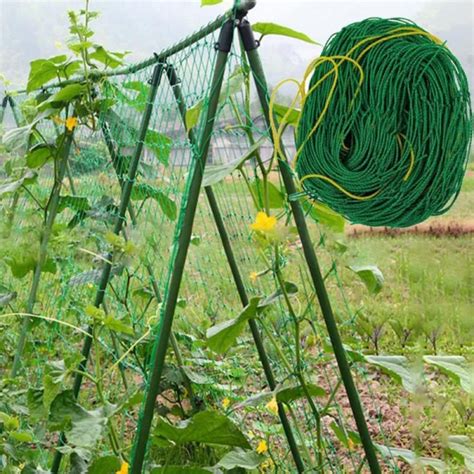 Garden Supplies Melon and fruit Climbing Support India | Ubuy
