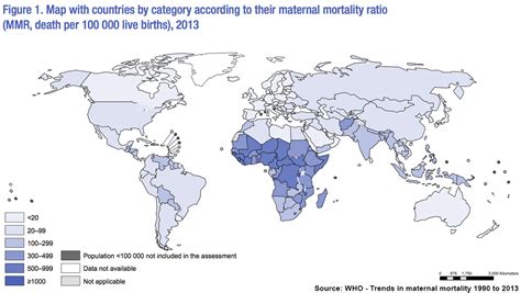 Maternal Mortality Ratio 的图像结果