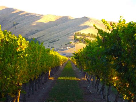 Marlborough : New Zealand's Wine Country