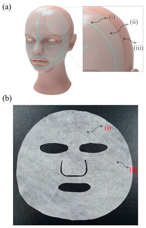 Portable Iontophoresis Device for Efficient Drug Delivery