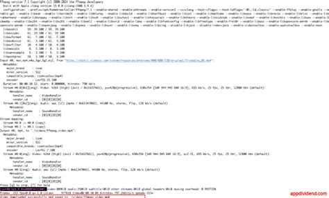 Download Python Video Offline 的图像结果