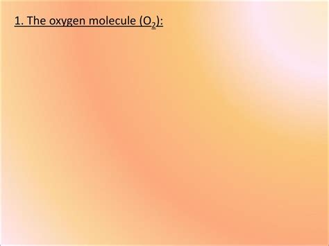 O2 Name 的图像结果