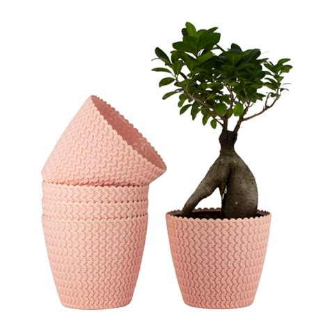 Amazon Brand - Umi Indoor and Outdoor Plants Designer Round Shape 7 ...