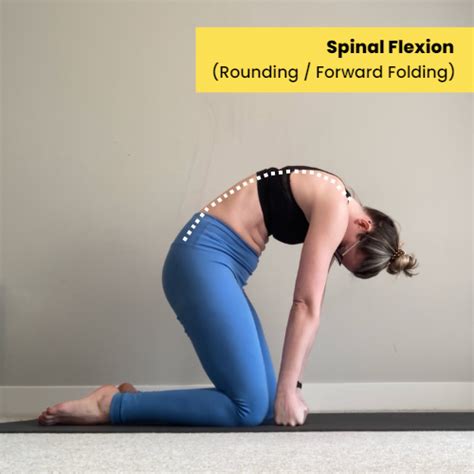Image result for Back Flexibility